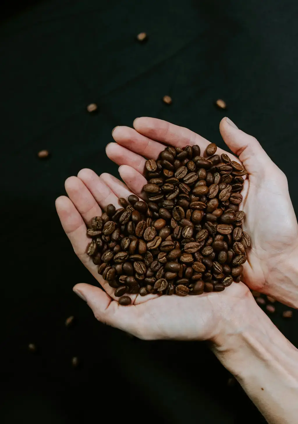 T97咖啡:台灣在地咖啡豆的頂尖選擇